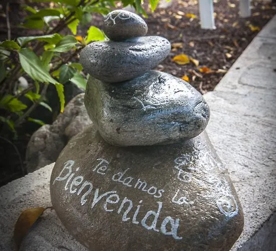 Duendes Del Sur 호스텔